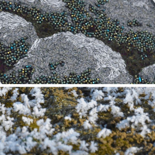 sylve/11.jpg du projet Sylve