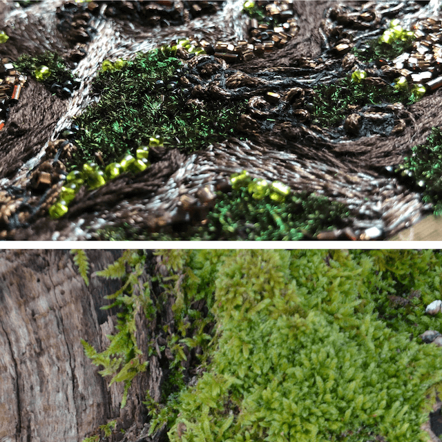 sylve/4.jpg du projet Sylve